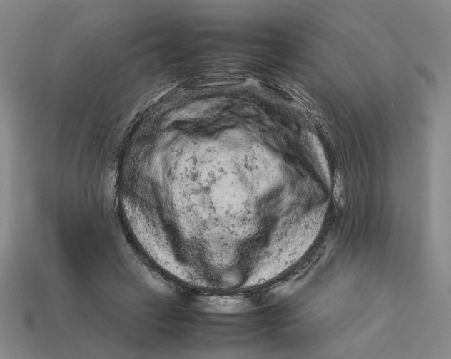 X0000113240449200910011329