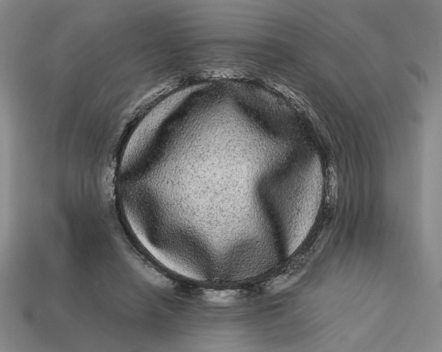 X0000113240450200910011329