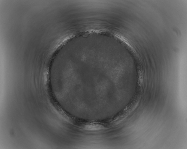 X0000113240451200910011329