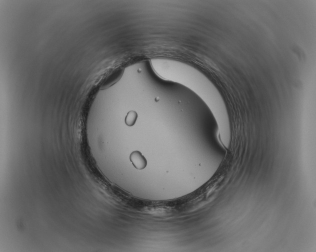 X0000113240452200910011329