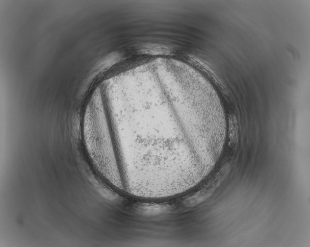 X0000113240453200910011329