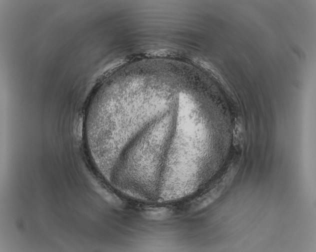 X0000113240454200910011329