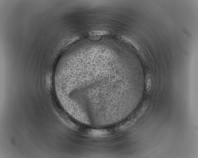 X0000113240455200910011329