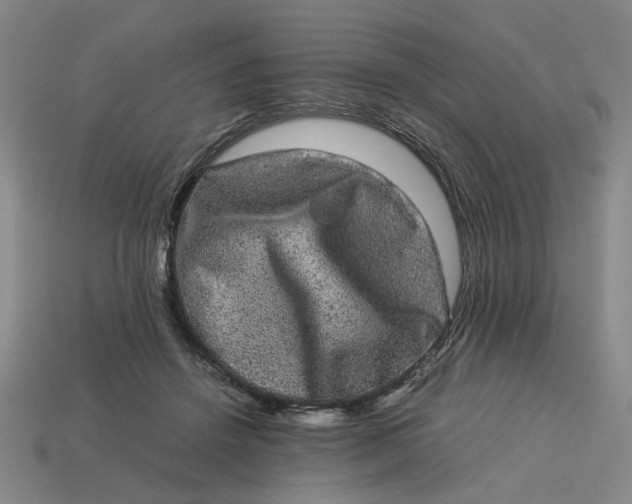 X0000113240456200910011329