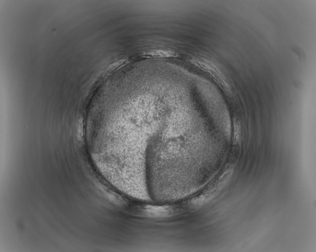 X0000113240457200910011329