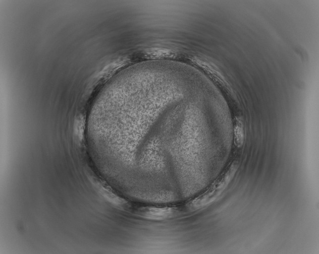 X0000113240458200910011329