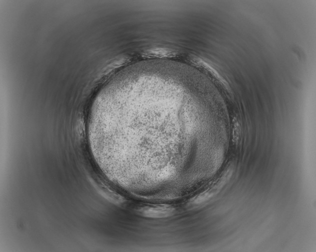 X0000113240459200910011329