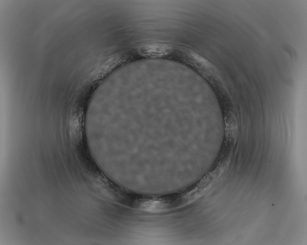 X0000113240460200910011329