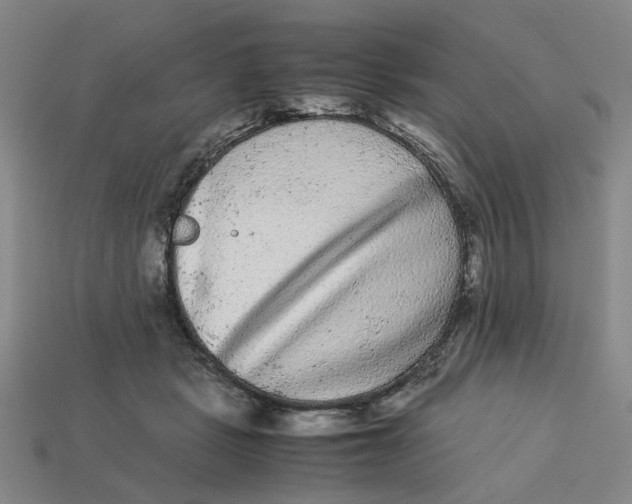 X0000113240461200910011329