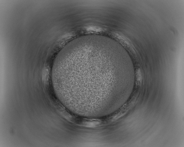 X0000113240463200910011329