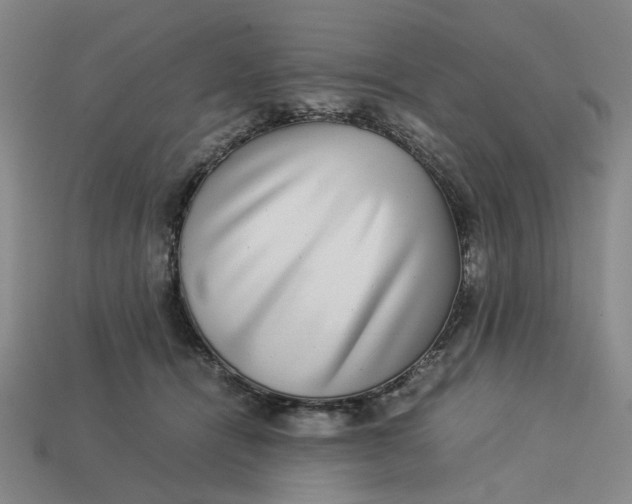 X0000113240464200910011329