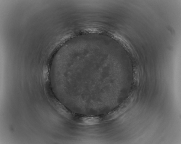 X0000113240465200910011329