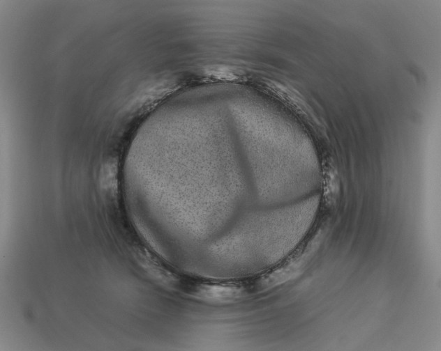 X0000113240466200910011329