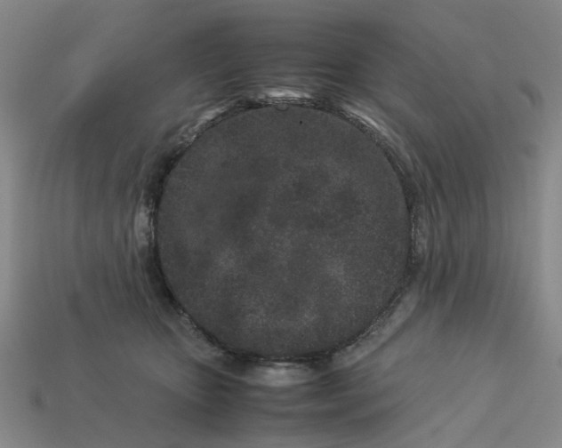 X0000113240467200910011329