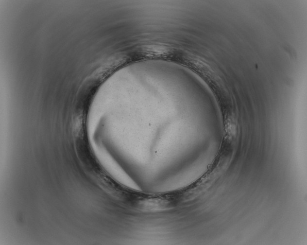 X0000113240468200910011329