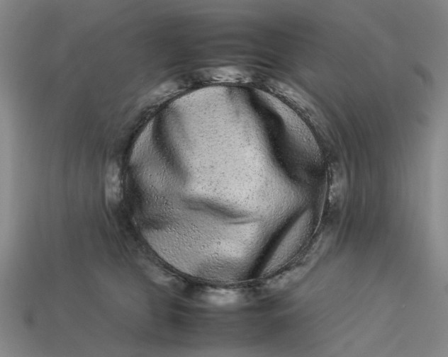 X0000113240469200910011329