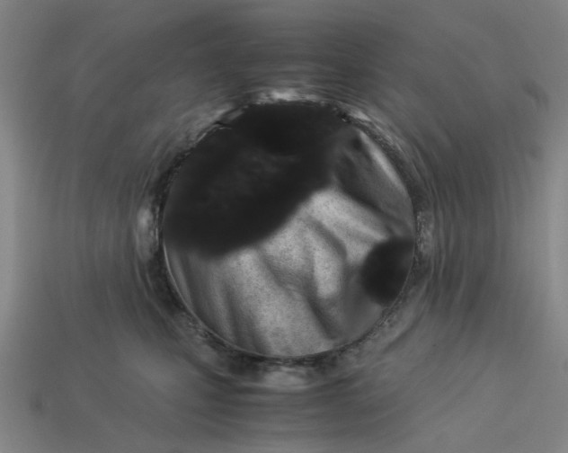 X0000113240471200910011329