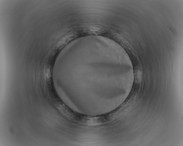 X0000113240472200910011329