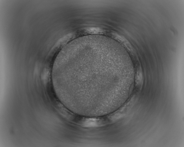 X0000113240473200910011329