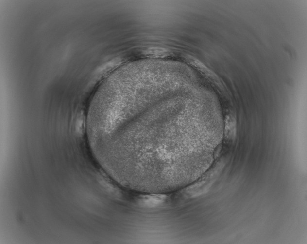 X0000113240474200910011329