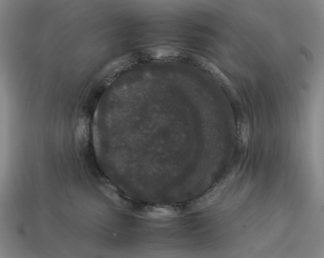 X0000113240475200910011329