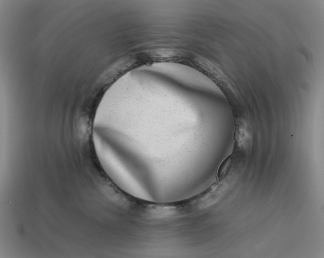 X0000113240476200910011329