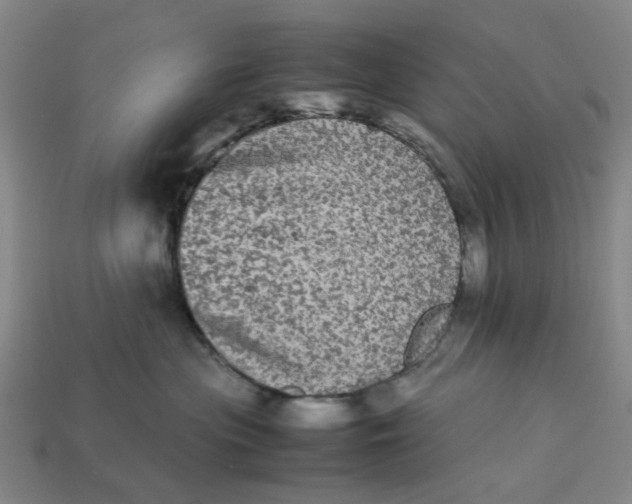 X0000113240477200910011329