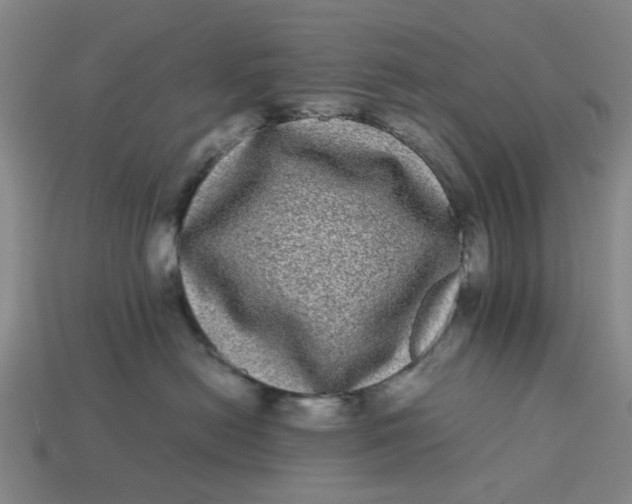 X0000113240478200910011329