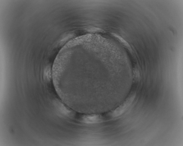 X0000113240479200910011329