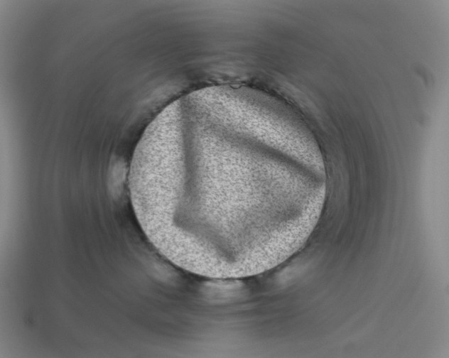 X0000113240480200910011329