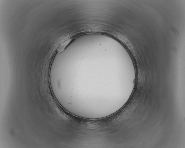 X0000113240481200910011329