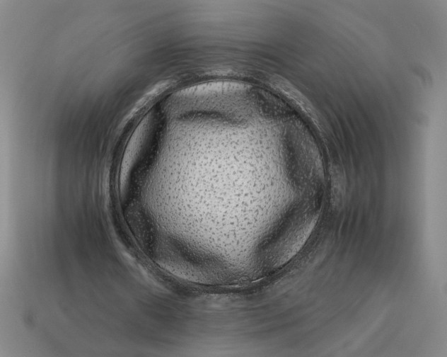 X0000113240482200910011329