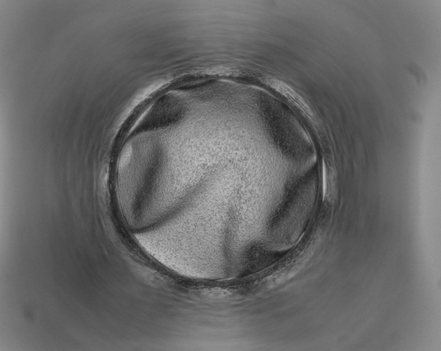 X0000113240483200910011329