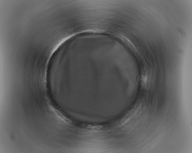 X0000113240484200910011329