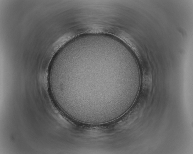 X0000113240485200910011329