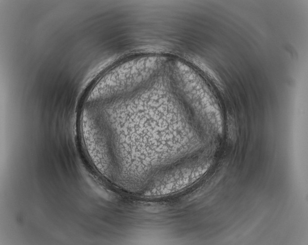 X0000113240486200910011329