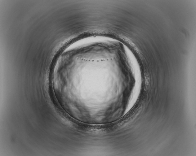 X0000113240487200910011329