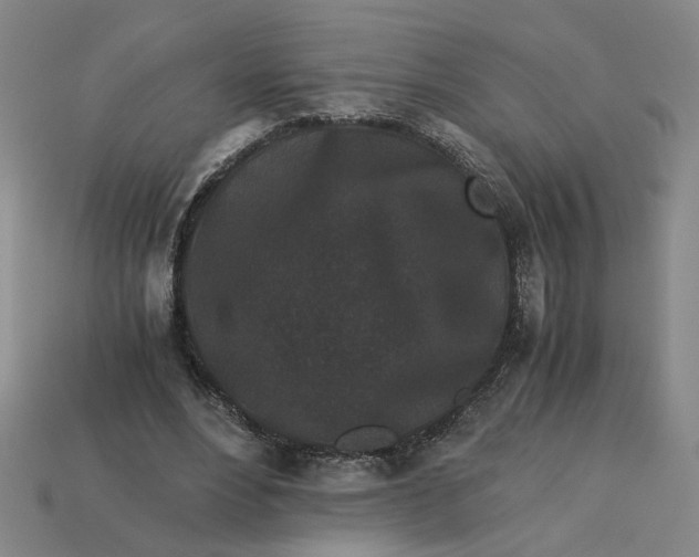 X0000113240488200910011329