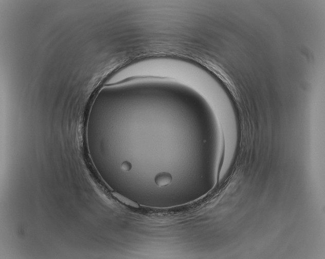 X0000113240489200910011329