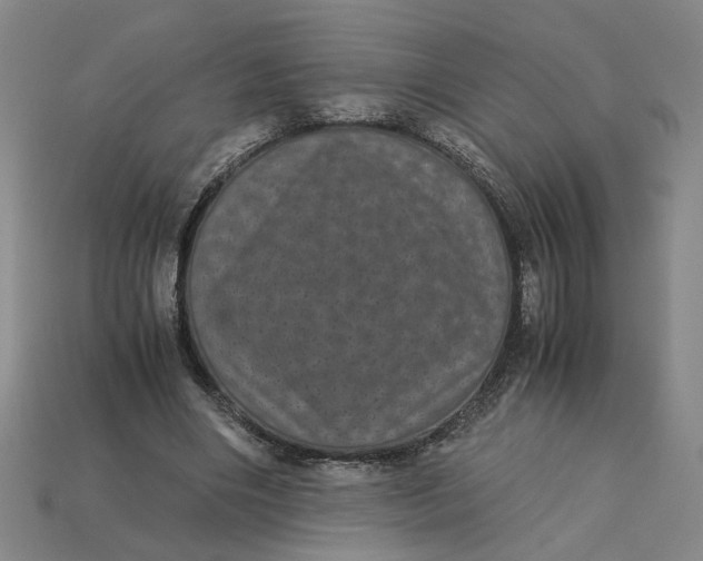 X0000113240490200910011329