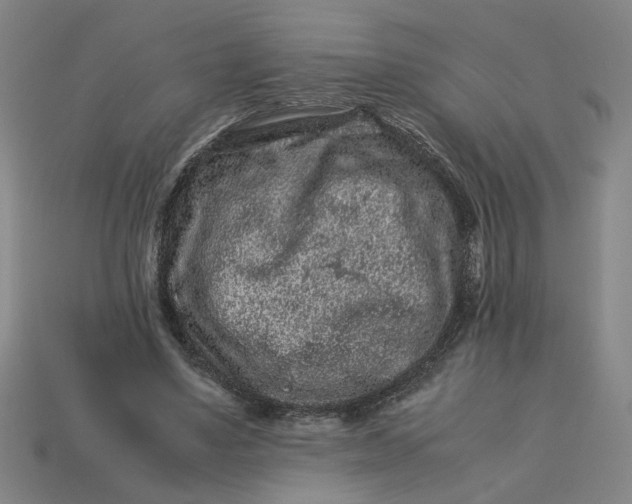 X0000113240491200910011329