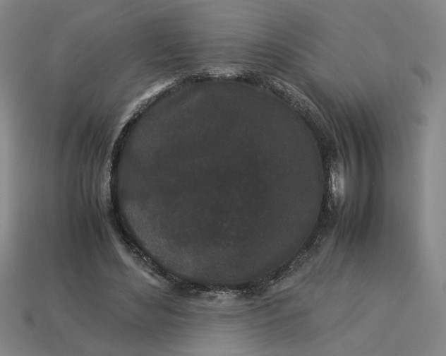 X0000113240492200910011329