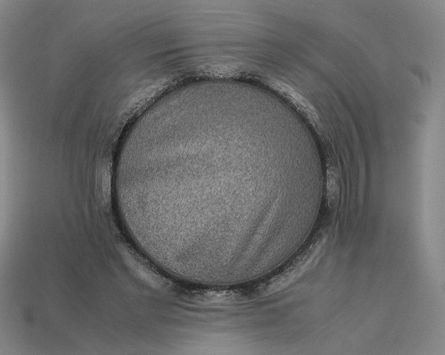 X0000113240493200910011329