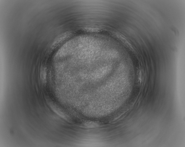 X0000113240494200910011329