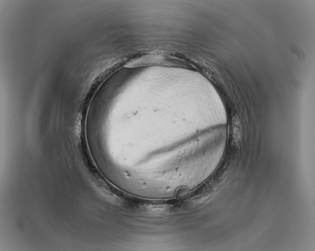 X0000113240495200910011329