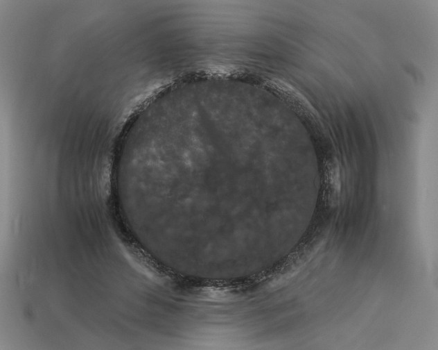 X0000113240496200910011329