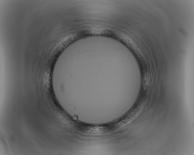 X0000113240497200910011329