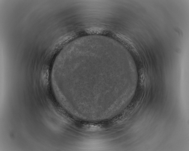 X0000113240498200910011329