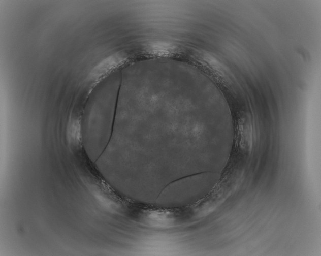 X0000113240500200910011329