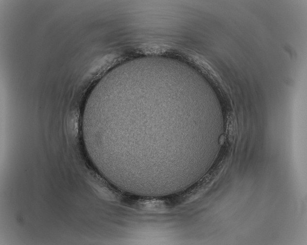 X0000113240501200910011329